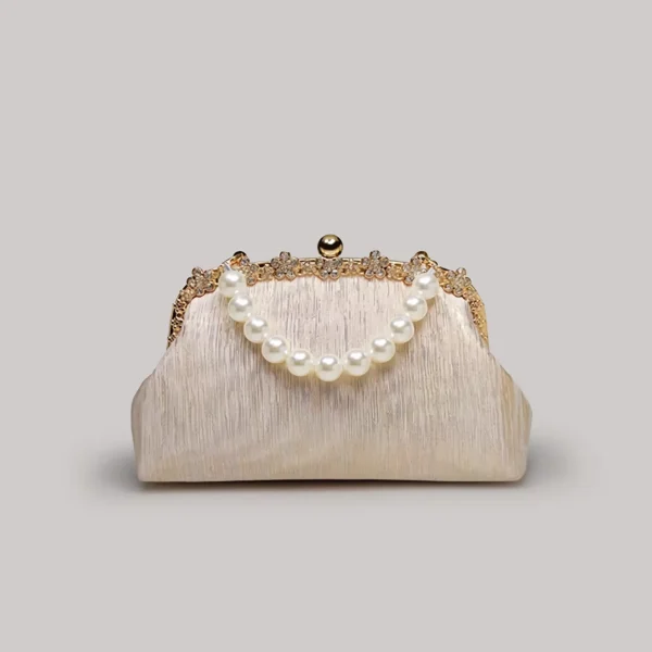 Evening Bag