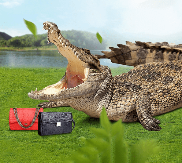 Crocodile texture handbag samples shown for custom handbag manufacturing reference